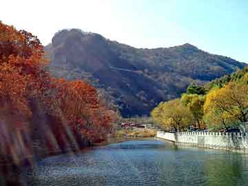 澳门二四六天天彩图库，城市站群